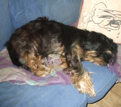 texane