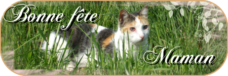 bonnefete
