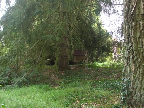 cabane