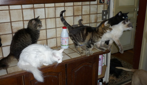 groupe