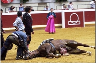 cheval