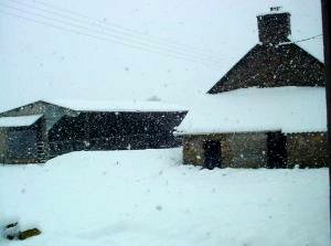 Neige