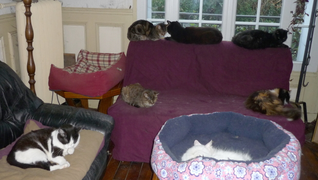 groupe