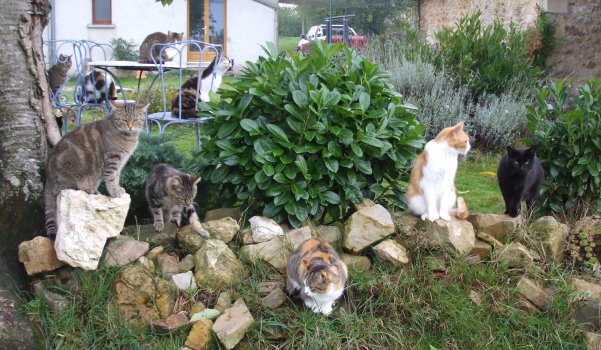 groupe