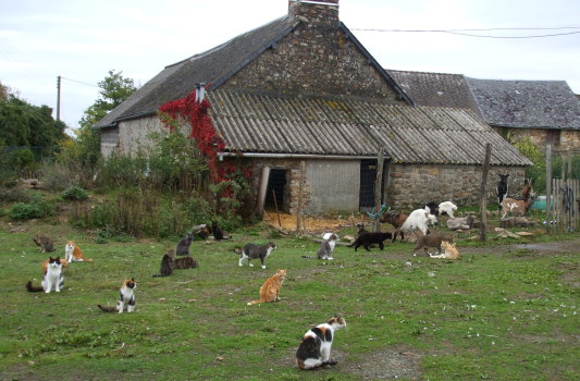 groupe