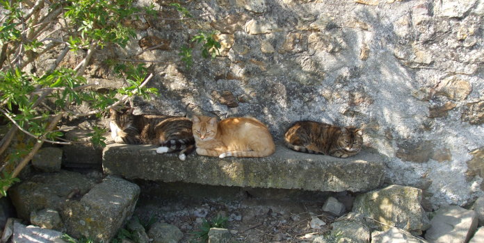 groupe