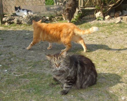 groupe