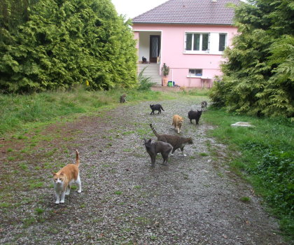 groupe