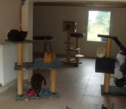 groupe