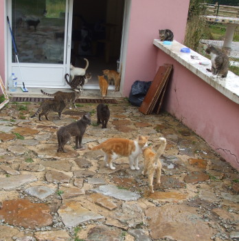 groupe