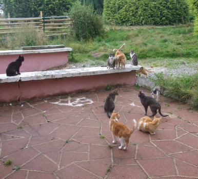 groupe