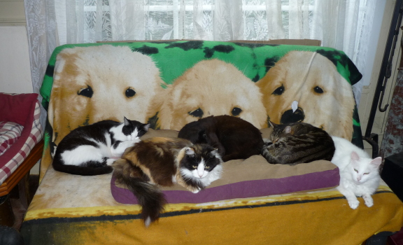 groupe