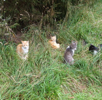 groupe