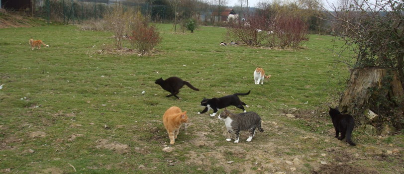 groupe