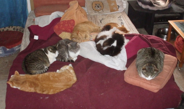 groupe