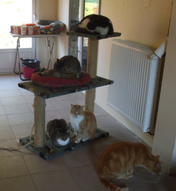 groupe