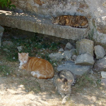 groupe