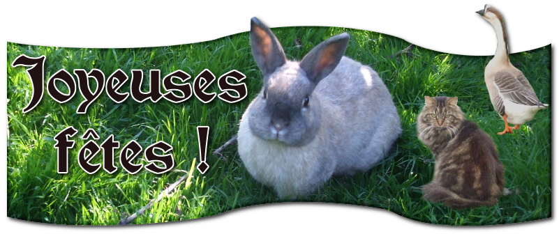 joyeusefete