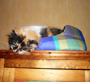 melba