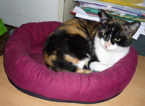 minette