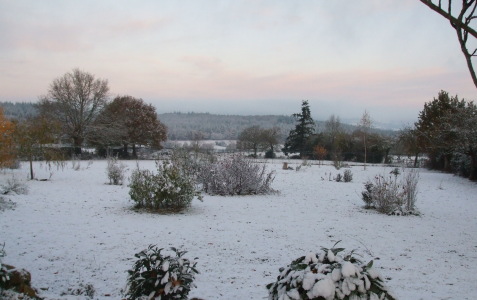 neige