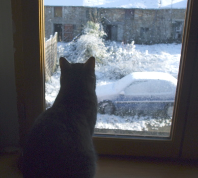 neige