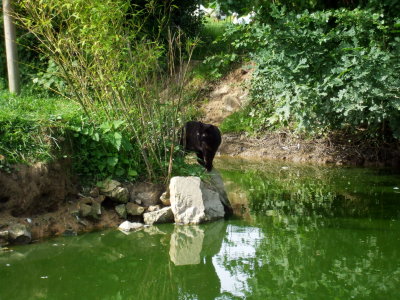 parc