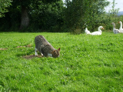 parc
