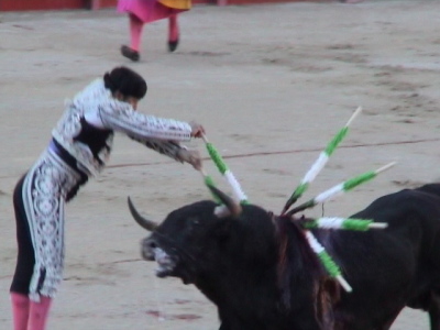 toro