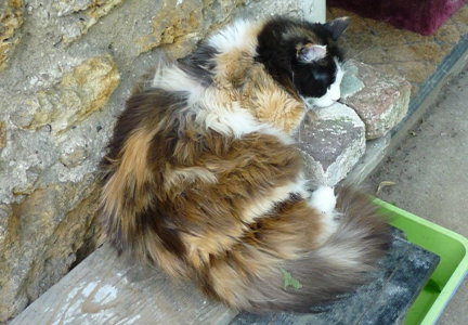 poupette