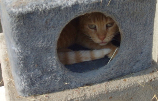 roux