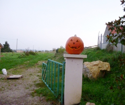 citrouille