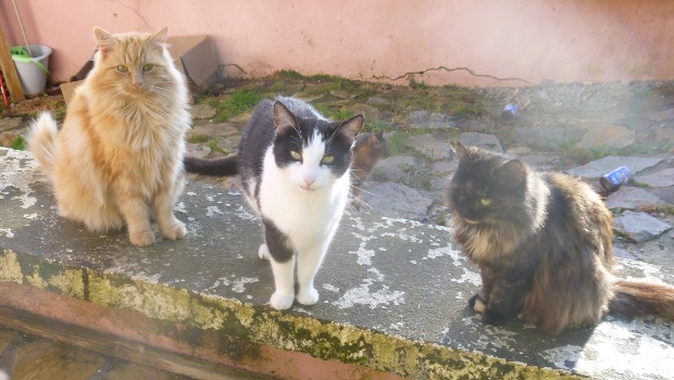 groupe