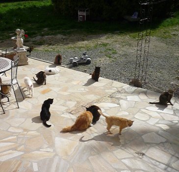groupe