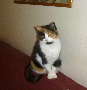 chloe