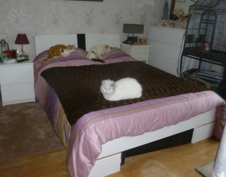 duchesse