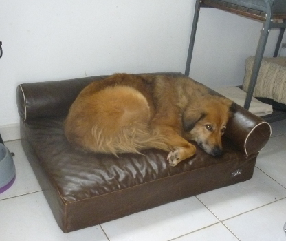 texane
