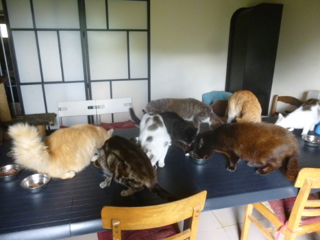 groupe