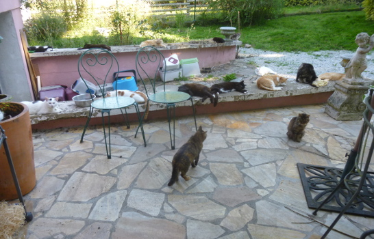 groupe