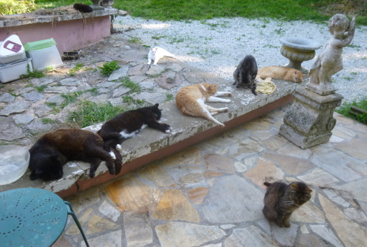 groupe