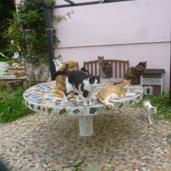 groupe