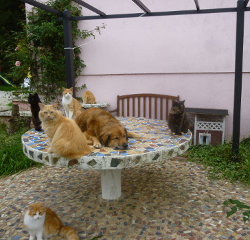 groupe