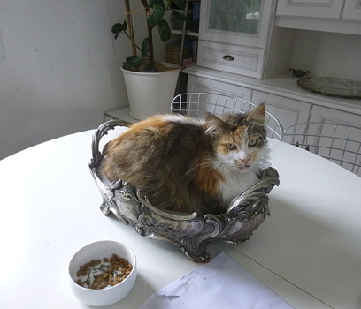 princesse