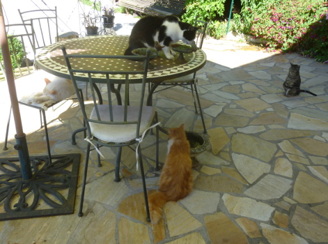 terrasse