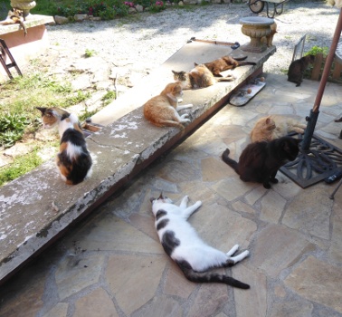 groupe