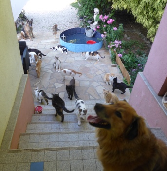 groupe