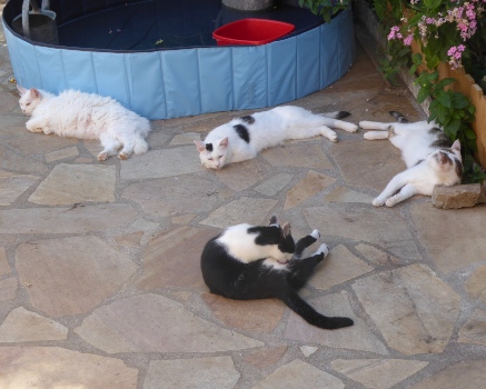groupe