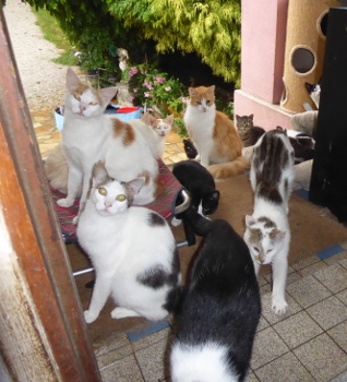 groupe