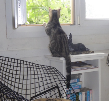 schrodinger