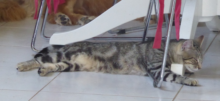 schrodinger